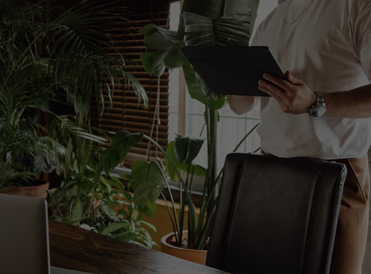 https://www.pady.com.cn/webdesign/262666.html
